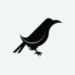 455944891 1165189928041965 8171387736703544338 n